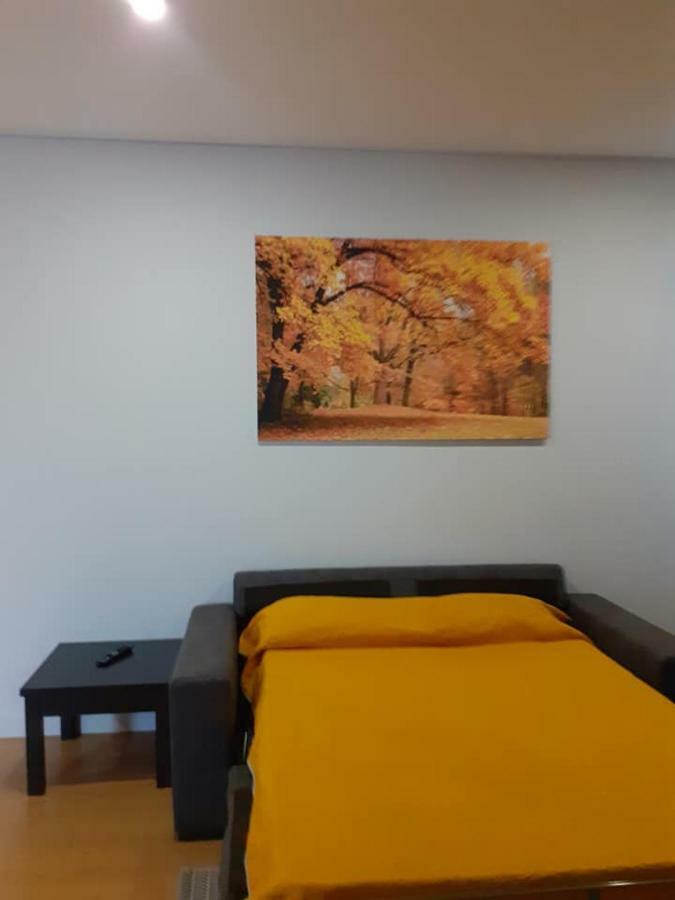Basto Vila Hotel Cabeceiras de Basto Luaran gambar